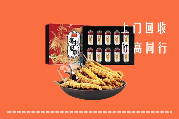 张掖回收虫草